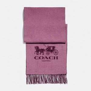 Coach cashmere scarf
